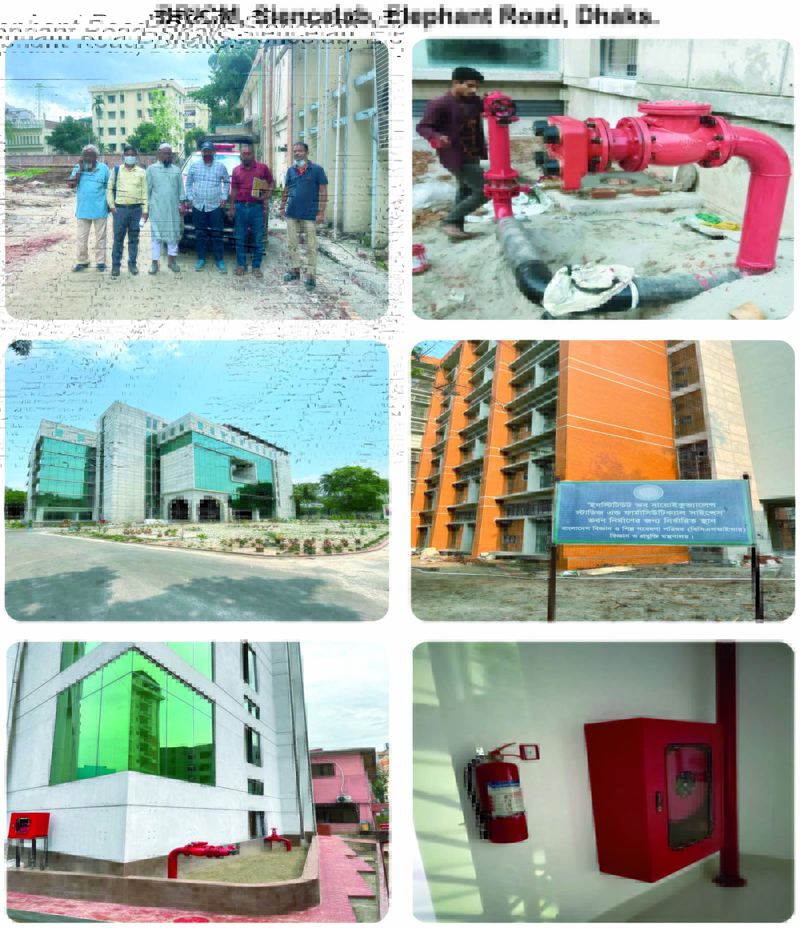 Pic 9 Pic 9